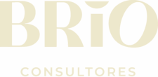 Brio Consultores