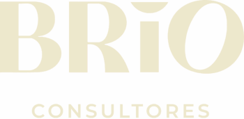 Brio Consultores