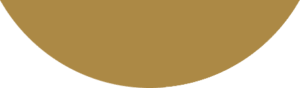 brío_consultores_patron_home_Mod